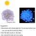 500 Pieces Blue Fluorescent Decorative Stones for Garden Aquarium & Landscaping Bright Colorful Stone for Flower Beds Sidewalks Vases & Terraces - Buy Online on GoSupps.com