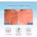 Birch Juice Moisturizing Sun Cream No White Cast Strong UV Protection Korean Sunscreen SPF50 SPF50+ PA++++ - Buy Online on GoSupps.com