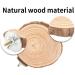 Round Wooden Springboard Parrot Perch Stand Toy - Small Parakeets, Cockatiels, Hamster (6cm) - Buy Online on GoSupps.com