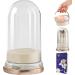 Cosmetic Brush Cleaner Makeup Brush Cleaner 5.1x9.1 inch 3 in 1 Cosmetic Brush Cleaner with Drying Holder Makeup Brush Cleaning Mat Portable Dustproof Makeup Brush Holder for Sponge - Buy Online on GoSupps.com