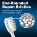 CILGEWH Replacement Toothbrush Heads 10 Pack - Compatible with TAO Clean Electric Toothbrush - White - Buy Online on GoSupps.com
