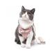 SUMECH Kitten Harness and Leash -Secure and Stylish Cat Harness and Leash Set - Adjustable Lightweight and Breathable Vest with Reflective Strip - Escape-Proof Design (Large Red)" - Buy Online on GoSupps.com