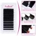 Fadlash Easy Fan Lashes DD Curl 0.05 8-14mm - Russian Lashes Self Fanning Eye Extensions - Buy Online on GoSupps.com