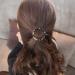 LEEQBCR 4 Pieces Acrylic Resin Geometric Hair Pins Round Leopard Print Hair Pins silver One size - Buy Online on GoSupps.com
