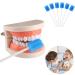 Zhyuan 100 Pieces Blue Cleaning Mouth Swabs - Disposable Oral Hygiene Sponges for Effective Care - Buy Online on GoSupps.com