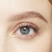 Maybelline New York Falsies Lash Lift Mask 10ml with Pro-Kera Complex and Argan Oil (B3315500) - Buy Online on GoSupps.com
