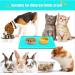 Umtiti Waterproof Slipproof Dog Bowl Pad - 60x40cm Green Silicone Mat for Cats & Dogs | Dishwasher Safe & Durable - Buy Online on GoSupps.com