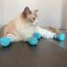 GNCLOUD Cat Claw Covers - 4pcs Anti-Scratch Cat Boots for Pet Bathing, Examination, and Treatment - Buy Online on GoSupps.com