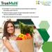 NatureCity TrueMulti Plant Based Multivitamin 30 Veggie Capsules - Unflavored - 30 Count - Buy Online on GoSupps.com