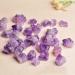 200g Natural Amethyst Cluster Quartz Crystal Point Specimen s - Buy Online on GoSupps.com