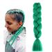 prinfantasy Ponytail Extension Crochet Braids Hair Extensions Braiding Hair Kanekalon Jumbo Braids Hair Twist Braids Synthetic Hair Tree Green Braiding Hair GBBZ024 GBBZ024 24 inch