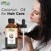 Pure Coconut Oil (Cocos Nucifera) - Natural Carrier Oil for Skincare Hair Care & Massage | 30ml/1.01fl oz - Shop Internationally - Buy Online on GoSupps.com