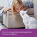 FELIWAY Classic 30 day Refill comforts cats helps solve behavioural issues and stress/anxiety in the home - 48ml Single 30 day refill pack - Buy Online on GoSupps.com