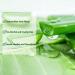 ASYBO 300 ML Aloe Vera Gel 99% Organic Pure Aloe Vera Hydrating Moisturizer Natural Aloe Cream for Dry Skin Sunburn Acne - Buy Online on GoSupps.com