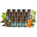 Digestic - Laxative for Constipation Stool Softener for Bloating and Gas 12 Bottles