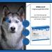 Visoguard Tablets for Dogs & Cats | 30 Pieces - Supports Vision & Eye Health with Lutein & Zeaxanthin | Ideal Pet Care Supplement - Buy Online on GoSupps.com