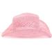 TOVOSO Pink Cowgirl Straw Hat for Women - Shapeable Cowboy Style 1 - Buy Online on GoSupps.com