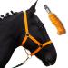 Halter for horses with rope |Leading knitting horse with halter |Haler Shetty pony thoroughbred full X-Full with rope (orange cold blood) orange cold blood