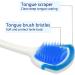 Orabrush Tongue Cleaner 2 Pcs Set - Reduce Bad Breath and Maintain Mouth Health - Blue/Green Colors - Buy Online on GoSupps.com