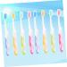 Travel Toothbrush Set - 8th Storage Box for Portable Oral Care | Soft Bristle Mini Toothbrushes for Camping & Travel - Buy Online on GoSupps.com