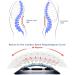 Adjustable Back Stretcher with Magnetic Acupressure Points for Back Pain Relief - Lower Back Pain, Sciatica, Herniated Disc, Scoliosis - Black - Buy Online on GoSupps.com