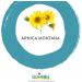 Boiron Arnica Montana 30CH. NEW box with 3 tubes Homeopathic Medicine - Buy Online on GoSupps.com