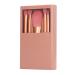 ABS Mini Makeup Brush Set - 5 Lightweight & Portable Brushes | Skin Friendly & Easy to Hold | Ideal for Beginners & Travel - Buy Online on GoSupps.com