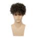 Baruisi Men's Short Brown Curly Wig - Synthetic Costume Cosplay Wigs - Buy Online on GoSupps.com