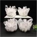 Gift Natural Beautiful White Crystal Cluster Quartz Raw Ore Home Decor Crafts Ornaments Specimens for Healing Crystals (Size : 800-1000g) - Buy Online on GoSupps.com