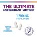 NAC Supplement 1200mg Optimal Absorption Immune Support with Powerful Antioxidants - Respiratory & Liver Health Support - Bottled in USA Vegan GMO & Gluten Free N-Acetyl-L-Cysteine - 120 Capsules 120 Count (Pack of 1) - Buy Online on GoSupps.com