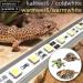 OCS.tec 30cm LED Lighting for Terrarium & Aquaterrarium | Cold White Simulator for Reptiles Amphibians Insects - TB7 - Buy Online on GoSupps.com
