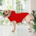 Waterproof Dog Raincoat with Reflective Strip | Zip Jacket XS-XXXL Yellow Red Navy Blue - Buy Online on GoSupps.com