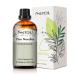 PHATOIL Pine Needles Essential Oil 30ML Therapeutic Grade 100% Pure Natural Essential Oils for Diffusers for Home Perfect for Diffuser Aromatherapy Relaxation Pack of 1 Pine Needles 30.00 ml (Pack of 1)