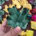 Gems for Decoration 260g Natural Crystal Green Ghost Crystal Cluster Aura Crystal - Buy Online on GoSupps.com