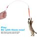 Molain Cat Wand Toy Set - Interactive Cat Teaser with 6 Furry Tail Worms and Bells - Buy Online on GoSupps.com