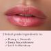 DAUGHTER. EARTH Dreamy Lip Mask | Lip Balm With Vitamin E and Huang Qi | Pink Glossy Finish | Smoothens Nourishes & Moisturize | Hydration Lock Primer For Plump Lips| Overnight Mask For Softness-15 gm - Buy Online on GoSupps.com