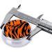 Round Mini Travel Pill Organizer - 2.0x2.0x0.7 Tiger Stripes Orange - International Shipping Available - Buy Online on GoSupps.com