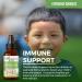 Kids Immune Support 1oz with Ashwagandha for Kids and Turmeric Herbal Supplements - Natural Kids Immune Booster Drops for Wellness and Immune Support for Kids - Non-GMO - Made in USA - 12 Bottles - Buy Online on GoSupps.com