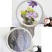 XENITE Glass High-Definition Glass with Lamp 20 Times Hand-held High-Power Children's Old Man Reading Maintenance Identification 10 Times Glass Volume 210 103 30mm OfficeProducts Magnifier - Buy Online on GoSupps.com