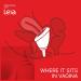 LEIA Menstrual Cup | Comfortable Low Cervix Solution | OBGYN Designed Leak-Proof Protection | Soft Touch for Small Pelvic Muscles - Buy Online on GoSupps.com