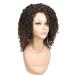 FAVE Short Braided Wig | Dreadlock Wigs for Black Women | Faux Locs Wig with Brown Highlights | Afro Braids Wig | Low Temperature Synthetic Hair (Ombre Brown) - Buy Online on GoSupps.com