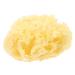 minkissy Moisturizer Bath Sponge Exfoliating Body Sponge Sea Sponge Yellow Sponge Bath Body Sponges for Shower Exfoliating Sea Sponges for Bathing Greece Natural
