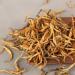 HELLOYOUNG Th Pu'er de printemps Dianhong bourgeon unique biologique du Yunnan chinois Fabriqu traditionnellement la main aliment vert avec une saveur intense Th pu-erh Pu'er Tea (100g) - Buy Online on GoSupps.com