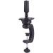 Training Head with Free Comb - Hairdressing Doll Head for Stylists | International Shipping - Buy Online on GoSupps.com