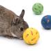 Niteangel Small Animal Treat Ball Snack Toy - Yellow, Blue & Green - Buy Online on GoSupps.com
