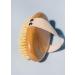 LA SALT CO Dry Brushing Body Brush - Exfoliating Scrubber for Dry Skin - Plant-Based Sisal Bristles - Buy Online on GoSupps.com