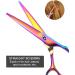 Lictin Hairdressing Scissors Set - Professional Stainless Steel Barber Scissors with Comb, 6 Inch Sharp Razor Hairdresser Shears for Salon & Barbers - 2PCS - Buy Online on GoSupps.com