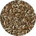 Organic Whole Rye Berries - 2 lbs | Premium Quality Grains - Buy Online on GoSupps.com