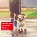 CovertSafe Non-Slip Waterproof Dog Boots - 4Pcs Size 1 (2.3''x1.6'') Red | Dog Booties for Medium to Large Dogs 10-23 lbs - Buy Online on GoSupps.com