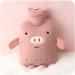 Dlandz Mini Hot Water Bottle - Portable 0.5L Plush Pocket Warmer for Hands Feet & Belly | Ideal Heating Solution - Buy Online on GoSupps.com